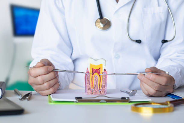 Best After-Hours Dental Care in St Louis, MI